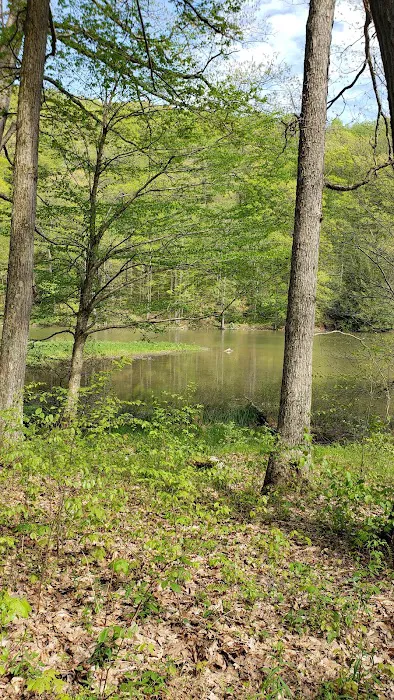 Donegal Campground 9