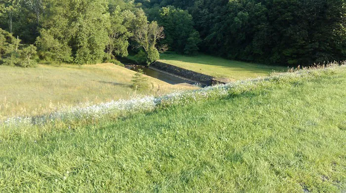 Shawnee State Park Campground 8