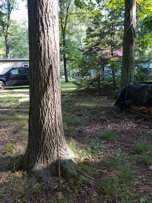 Shellbark Campground 5