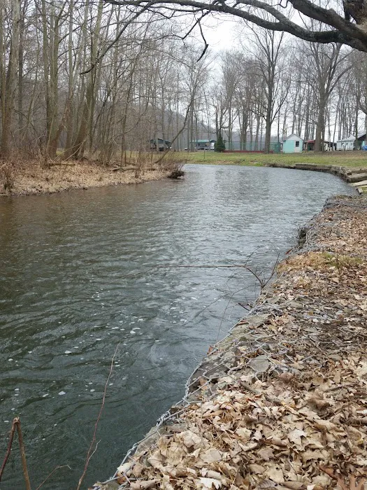 Shellbark Campground 4
