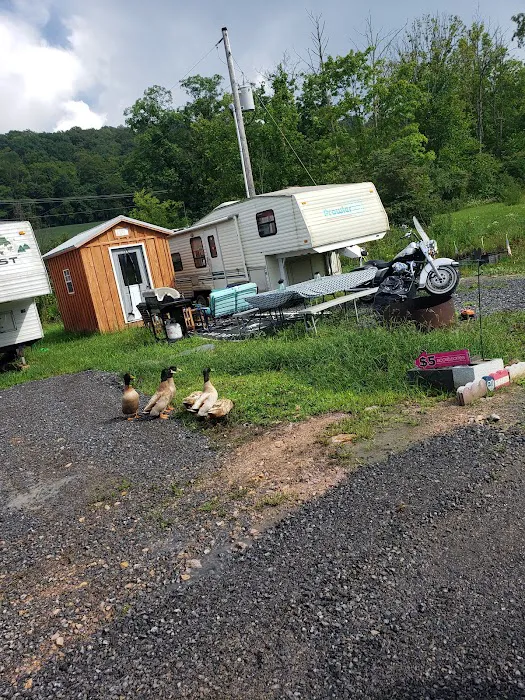 Sawmill Campground 6