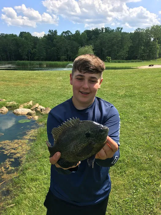 Merritt Pond Campground 1