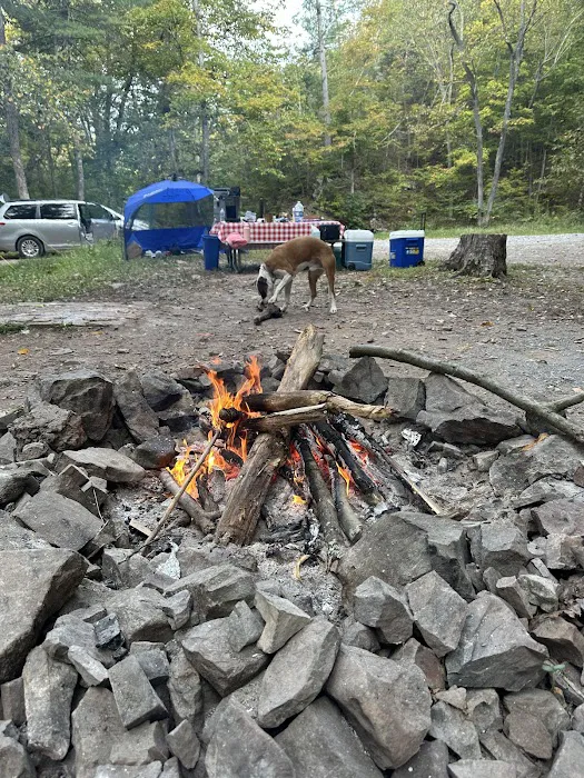 Green Ridge Campsite #81 1