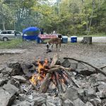 Green Ridge Campsite #81