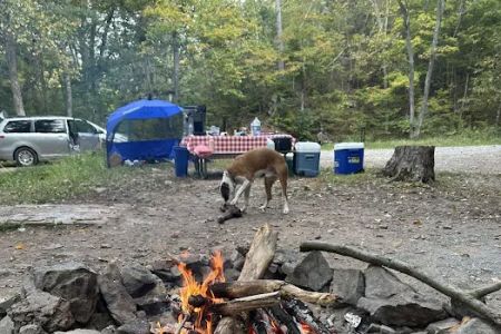 Green Ridge Campsite #81