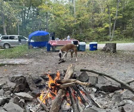 Green Ridge Campsite #81