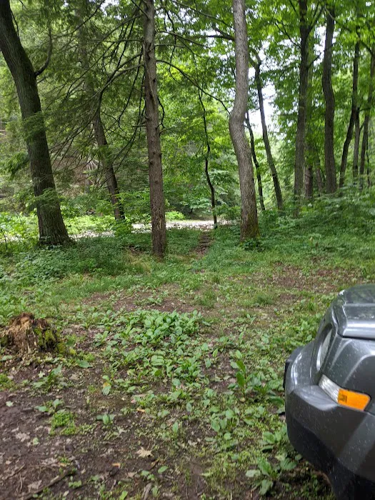 Green Ridge Campsite #81 3