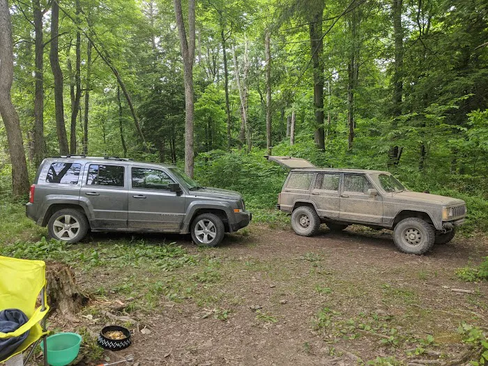 Green Ridge Campsite #81 6