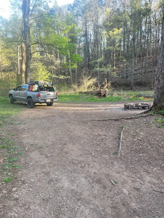 Green Ridge Campsite #81 9