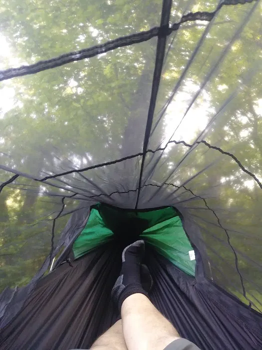 Leopards Mill Campsite 5