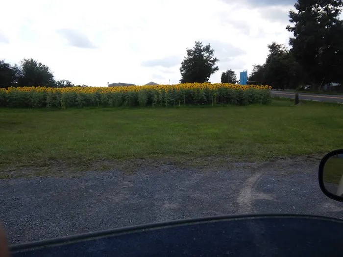Rankin Mobile Home Park 5