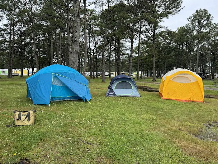 Jellystone Park™ Chincoteague Island 8