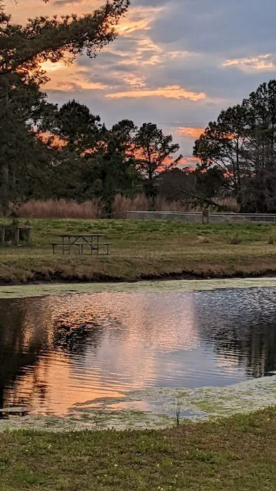 Jellystone Park™ Chincoteague Island 9