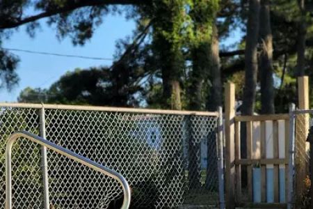 Pine Grove Campground