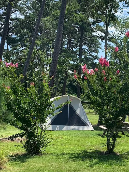 Pine Grove Campground 6