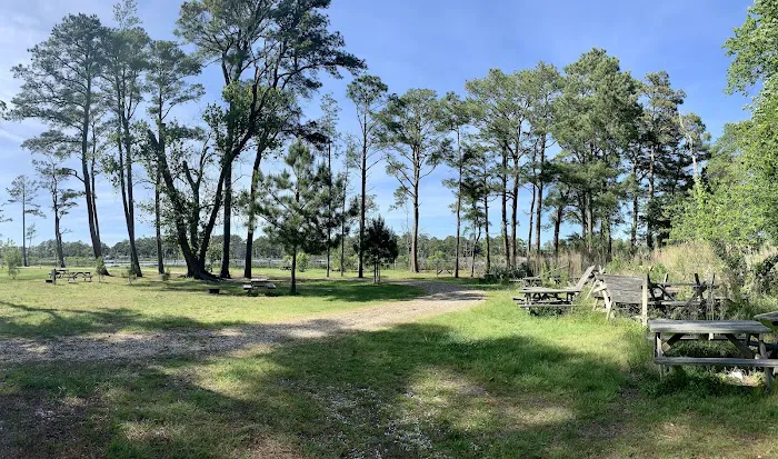 Pine Grove Campground 10