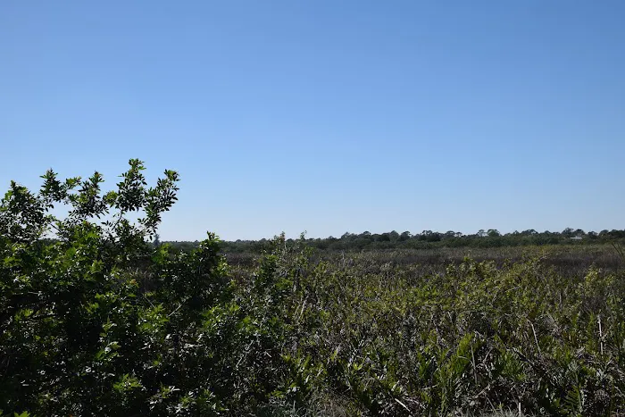 Myakka RV Resort 5