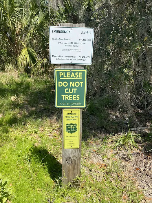 Myakka State Forest - Mangrove Campsite 3