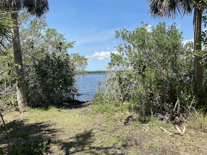 Myakka State Forest - Mangrove Campsite 1