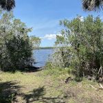 Myakka State Forest - Mangrove Campsite