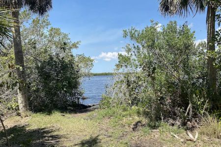 Myakka State Forest - Mangrove Campsite