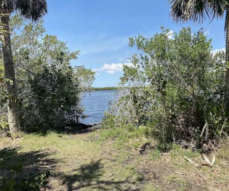 Myakka State Forest - Mangrove Campsite