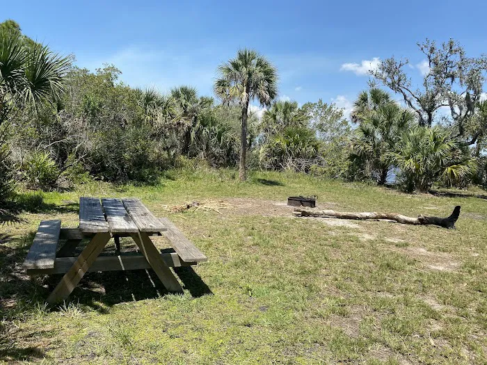 Myakka State Forest - Mangrove Campsite 2