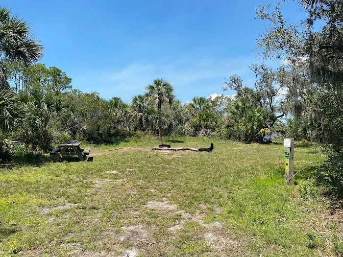 Myakka State Forest - Mangrove Campsite 5