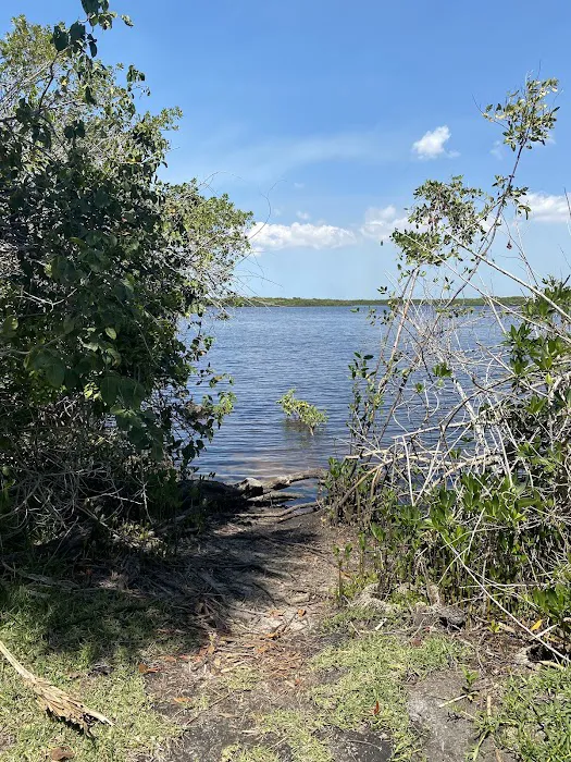 Myakka State Forest - Mangrove Campsite 4