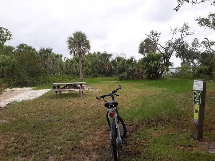 Myakka State Forest - Mangrove Campsite 6