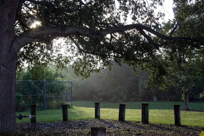 Phipps Park Campground 10