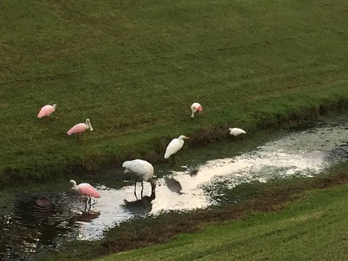 St. Lucie South Campground 7