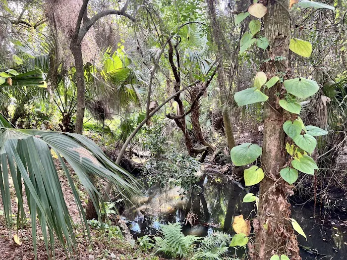 Royal Palm Mobile Home Park 3