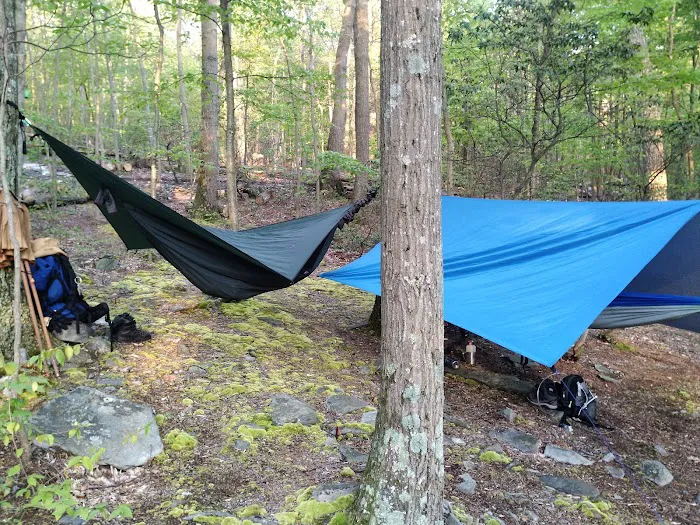 Pogo Memorial Campsite 6