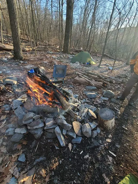 Pogo Memorial Campsite 2