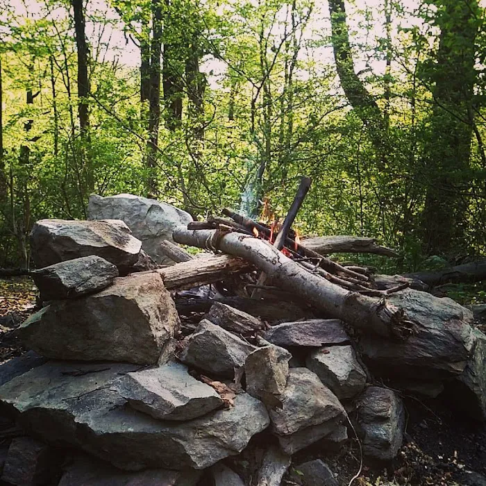 Pogo Memorial Campsite 3