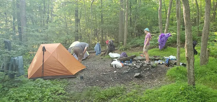 Pogo Memorial Campsite 9