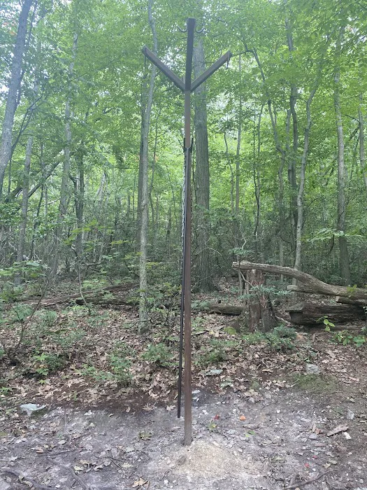 Pogo Memorial Campsite 8