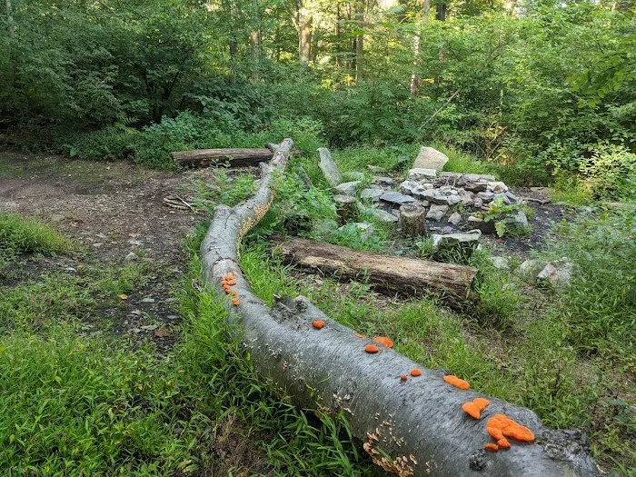 Pogo Memorial Campsite 10