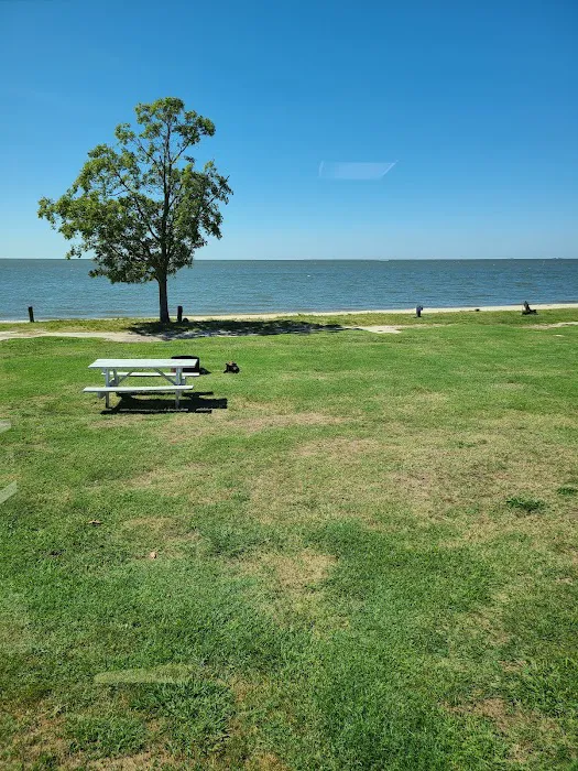 Roaring Point Campground 9