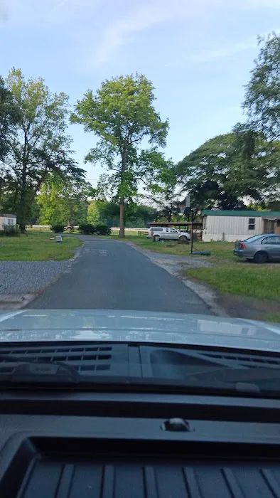 Pine Ridge Park MHP 8