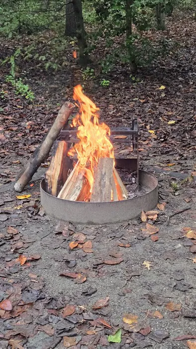 Tuckahoe State Park Campground 6