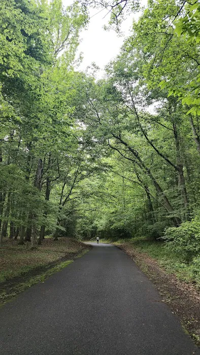 Tuckahoe State Park Campground 3