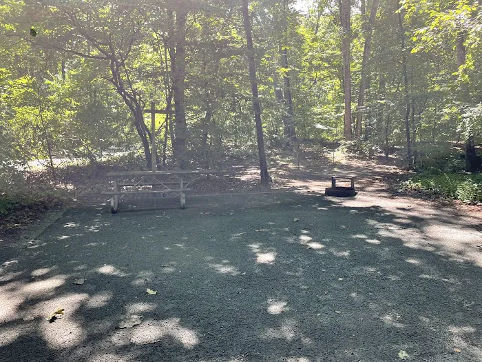Tuckahoe State Park Campground 4