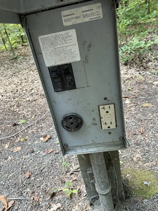 Tuckahoe State Park Campground 8