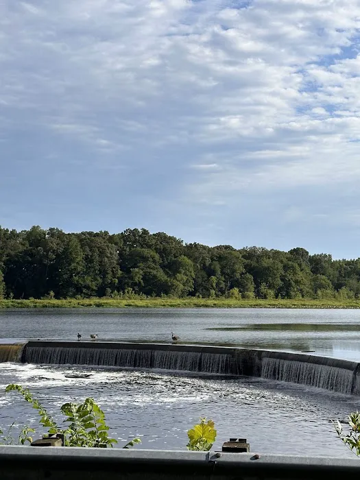 Tuckahoe State Park Campground 7