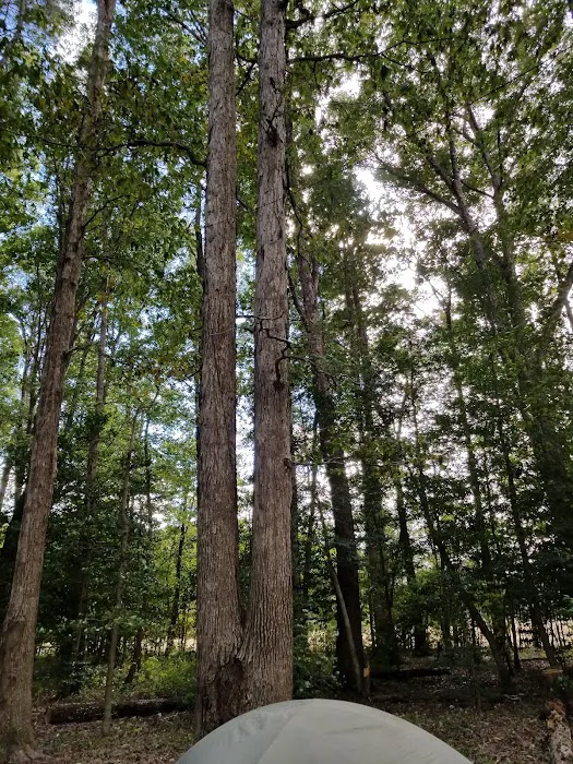 Woodlawn Campground 6