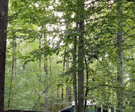 Hilton Camping Loop