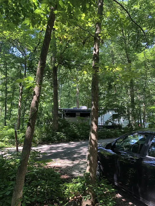 Hollofield Campground 3