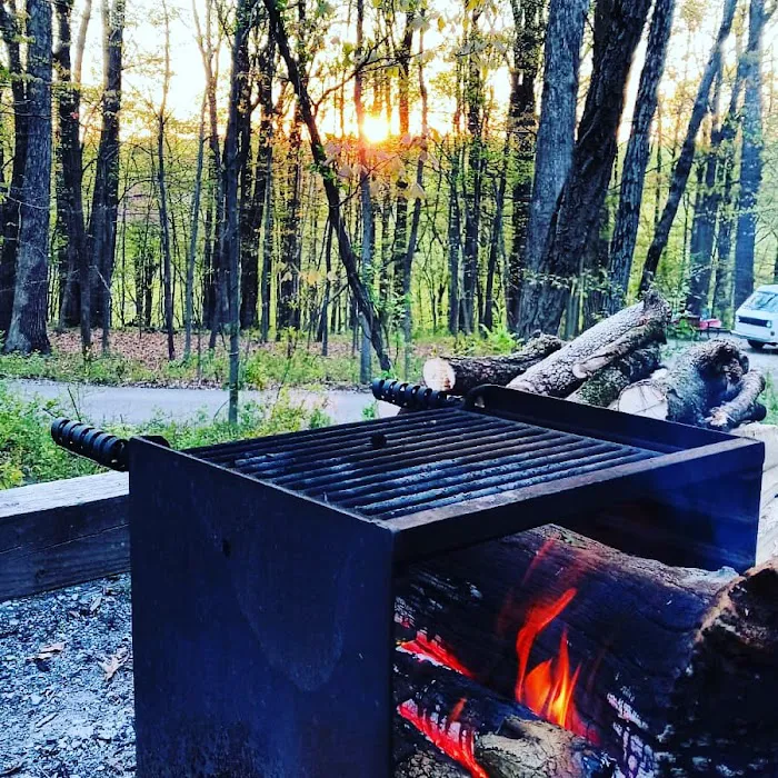 Hollofield Campground 4